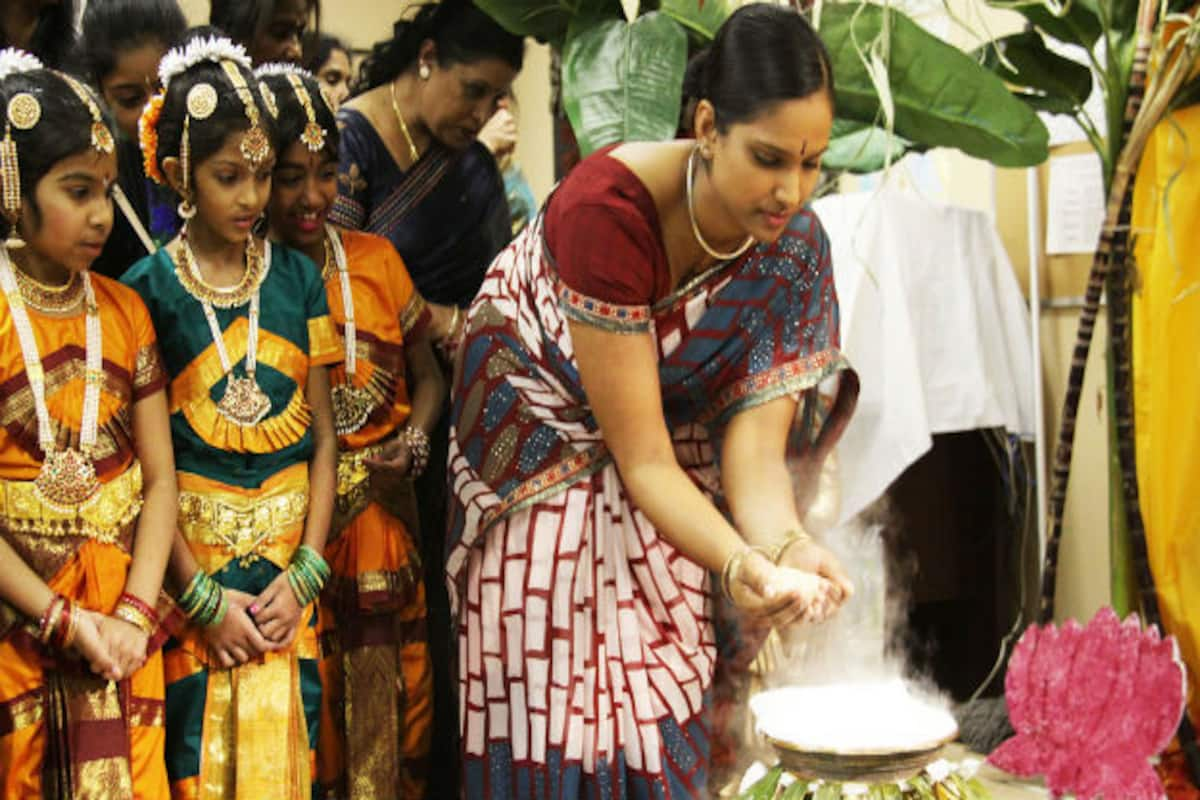 Makar Sankranti 2018 In Tamil Nadu How Thai Pongal Is Celebrated