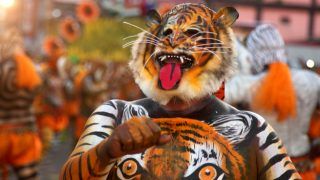 Puli Kali 2017: Images of the Wild Tiger Dance in Thrissur