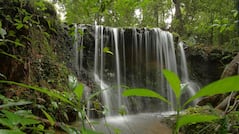 Monsoon holidays 2017: 5 reasons why you must visit Agumbe in Karnataka this monsoon
