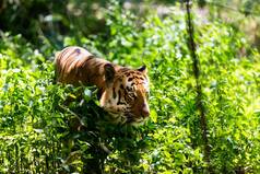 Winter Destinations in Uttarakhand to Head to This Season