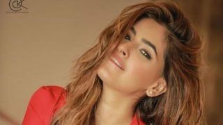 Ragini MMS Returns and Hum Actress Karishma Sharma is Making Jaws Drop With Hot Pictures