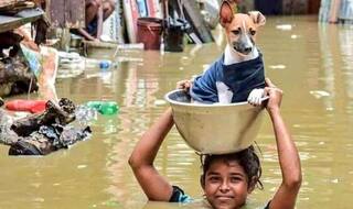 'Rat Fever' Adds to Kerala's Woes; State on High Alert After 12 Deaths in Last 3 Days, 372 Confirmed Cases