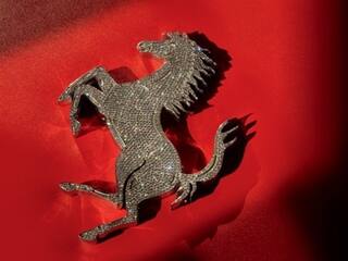 Ferrai Enzo 'Diamante' book launched in New Delhi