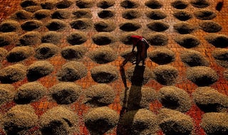 5 Coffee Plantations in South India That Contribute to The Coffee Culture of The Country