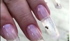 Bizarre! Russia Salon Apply Live Ants Into The Nails During Manicure; Watch Viral Video