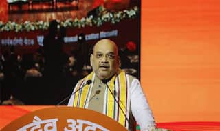 Will Win 2019 With Bigger Majority, Oppn Unity an Eyewash: Shah at BJP National Executive Meet