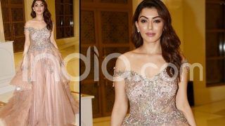 Hansika Motwani Wears a Sexy Sheer Fairy-Like Gown at SIIMA 2018 Red Carpet; See Pics