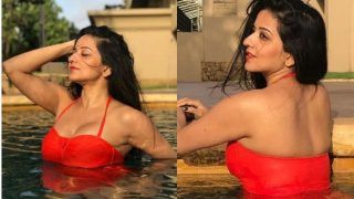 Bhojpuri Hottie And Nazar Fame Monalisa Aka Antara Biswas Looks Sexy in Red Swimwear as She Chills in Pool, See Pics