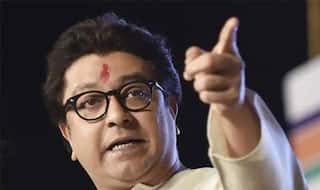 'Hindi is Not Our Mother Tongue, Don't Incite us', MNS Joins Protest Over Draft Education Plan