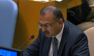 Flustered Over Swaraj, Eenam Gambhir's All-Out Attack, Pak Trains Guns at RSS