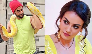 Naagin 3 Spoiler Alert: This New Actor is Entering Bela And Maahir's Life