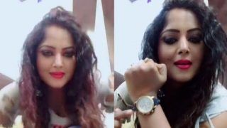 Bhojpuri Sizzler Anjana Singh Looks Hot as She Flaunts Her Sexy Thumkas on Tony Kakkar's Song Ludo - Watch Viral Video