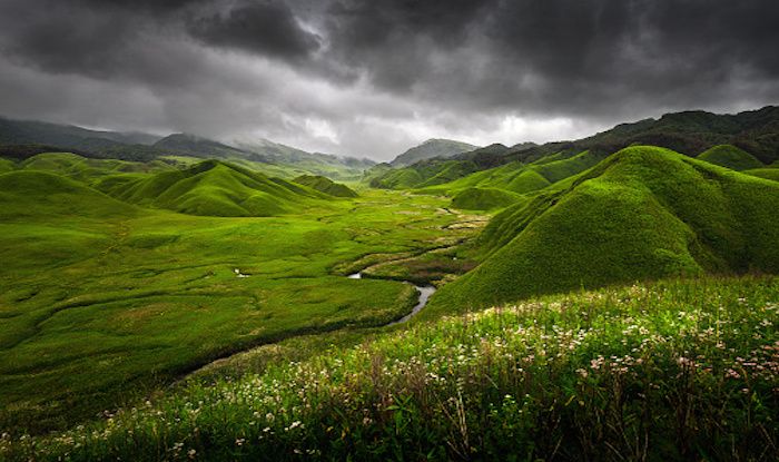 Image result for Dzukou Valley, Nagaland