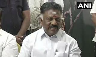 Don't Have Plans to Sabotage Govt, Dinakaran Continuing Low-level Politics: Panneerselvam