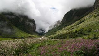 Why You Must Visit The Valley of Flowers And Hem Kund in Uttarakhand