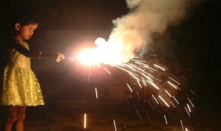 NGT to Pronounce Order on Firecracker Ban Today Amid Rising Pollution and COVID-19 Cases