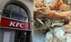 KFC India Denies Claims of Mumbai Man Who Found Live Maggots in His Chicken Wings