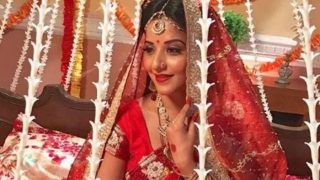 Bhojpuri Hottie And Nazar Fame Monalisa Looks Gorgeous as a Bride in This Throwback Picture