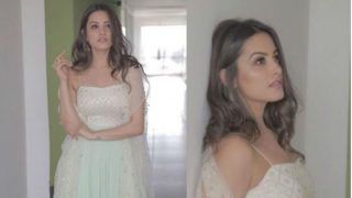 Naagin 3 Hottie Anita Hassanandani Looks Super Sexy as She Strikes a Pose in Pastel Green Gown - See Picture