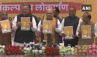 BJP Releases Manifesto For Upcoming Chhattisgarh Assembly Polls, Focuses on Farmers And Youth