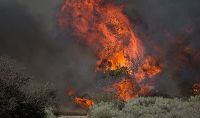 California Wildfire Kills 11 Ravages Celebrity Homes India Com
