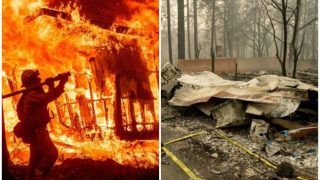 कैलिफोर्निया के जंगलों में भीषण आग: 56 लोगों की मौत, 130 लापता, बचाव अभियान जारी