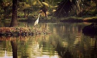 Top Islands An Intrepid Traveller Must Visit in India