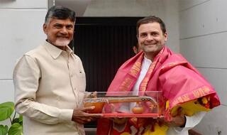 Chandrababu Naidu Meets Rahul Gandhi, Discusses Anti-BJP Front in Post-election Scenario