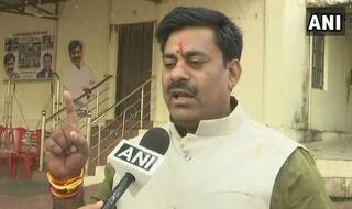 Butchers Act Like Cow Worshippers to Garner Votes: BJP MLA on Congress' Manifesto