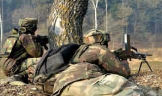 Five Maoists, Including Three Women, Killed in Encounter on Odisha-Andhra Border