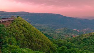 Want to See King Cobra in Its Natural Habitat? Head to Agumbe