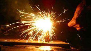 दिल्ली, महाराष्ट्र सहित इन राज्यों में पटाखों पर लगा प्रतिबंध, उल्लंघन करने पर लगेगा 2000 का जुर्माना