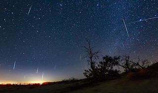 Head to Sariska Tiger Reserve For This Year's Most Beautiful Meteor Shower