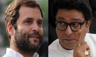 'Pappu' Has Become 'Param Pujya', Says Raj Thackeray; Blames PM For BJP's Debacle in Assembly Polls
