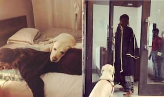 Jennifer Winget's Pictures With Her Dog is Making The Internet Swoon Like Never Before