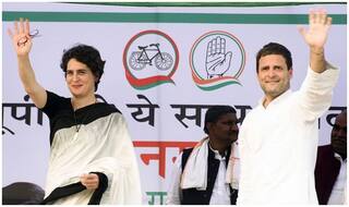 Where Were You When My Brother Was Fighting Modi Alone: When Priyanka Gandhi Fired at CWC Meet
