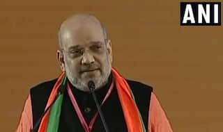 'Flu Can be Cured, Not Mental Illness,' BJP Hits Back at Cong For MP's Swine Flu Jibe at Amit Shah