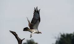 A Visit to Bhadra Wildlife Sanctuary Will Bring You Closer to Nature