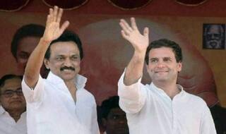 BJP Mocks Stalin as he Skips 'Rahul for PM' Pitch at Mega Rally, Says His Move Exposes Chinks in Oppn Unity