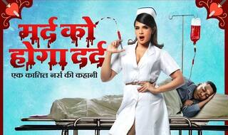 Richa Chadha Features in 12 Avatars For Shakeela Calendar