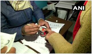 यूपी की 11 विधानसभा सीटों पर होंगे उपचुनाव, इन सीटों के विधायक बने MP