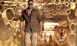 PICS: बॉलीवुड सिंघम अजय देवगन ने असली शेर के साथ किया रैंपवॉक, बस कुछ ही देर में देखिए 'टोटल धमाल' का ट्रेलर