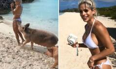 Fitness Model Gets Bitten by Pig on Bahamas Island During Photoshoot, Video Goes Viral