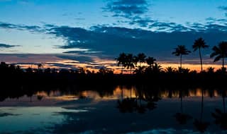 Kumbalangi: An Eco-Tourism Paradise Off Kochi