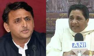 साइकिल की सवारी कर हाथी ने मारी बाजी, लेकिन टीपू को नहीं मिला इनका साथ