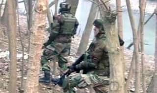 Encounter Underway Between Terrorists And Security Forces in J&K's Tral