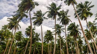 Port Blair is a Great Mix of Shimmering Beaches And Other Sightseeing Spots Port Blair is a Great Mix of Shimmering Beaches And Other Sightseeing Spots