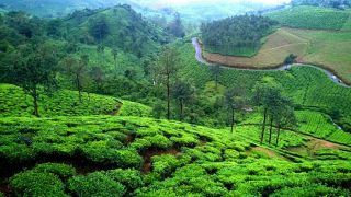 Vagamon in Kerala Offers Abundant Natural Beauty as Well as Adventure Activities Vagamon in Kerala Offers Abundant Natural Beauty as Well as Adventure Activities