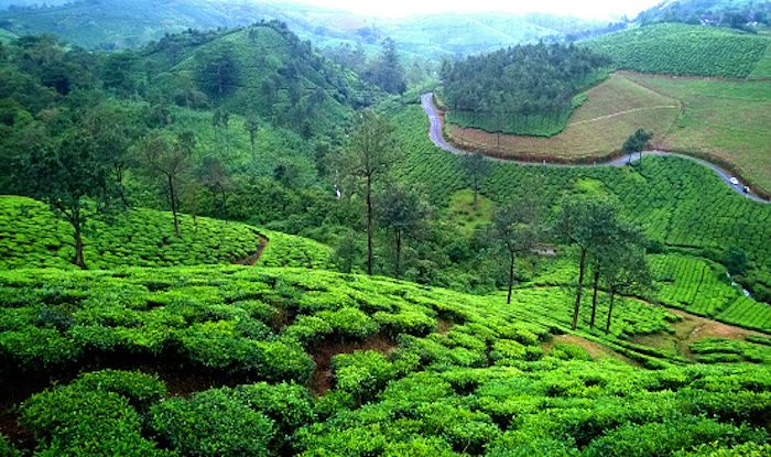 Vagamon in Kerala Offers Abundant Natural Beauty as Well as Adventure ...