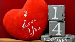 Happy Valentine's Day 2019 Wishes: इन Best मैसेज से करें अपने प्‍यार का इजहार और कहें I LOVE YOU